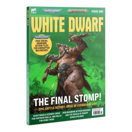 White Dwarf #489